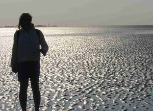 Nordsee, Sahlenburg, Wattwandern